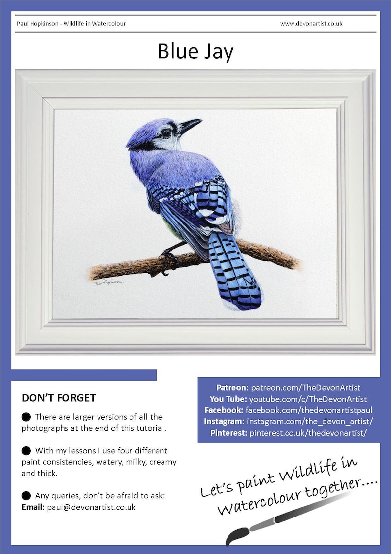 The first page of the lesson, which shows the finished blue jay painting in a white frame.  Below are links to Paul's other channels on the Internet.