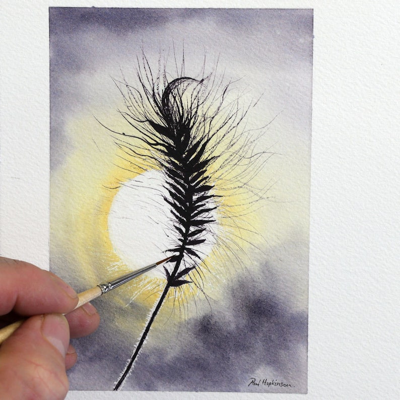 A silhouette of a grass seed head being painted by Paul against the background of the sun in a dark mauve coloured sky.  The seed head has lots of wispy hairs surrounding it, and creating a stunning effect against the background
