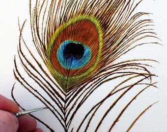ORIGINAL Peacock Feather Watercolour Painting, Watercolor Fine Art Painting, Wildlife Wall Art, Feather Art