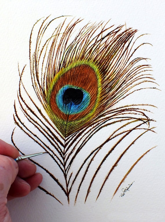 How To Draw A Peacock Feather Step By Step