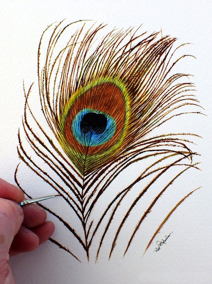 Bird Asiatic peafowl Feather Simple eye in invertebrates, Peacock feather,  peacock tail, animals, peafowl png | PNGEgg