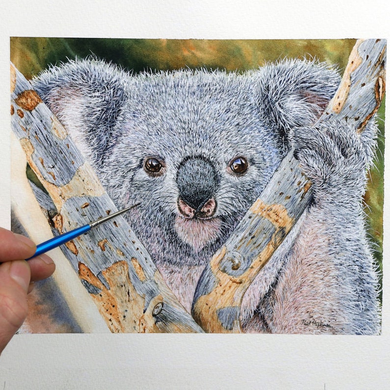 Close up photo of Paul putting the finishing touches to a Koala painted in watercolour.  He has a tiny brush in his hand, and has painted the animal in the finest of details.  It is very realistic and lifelike.