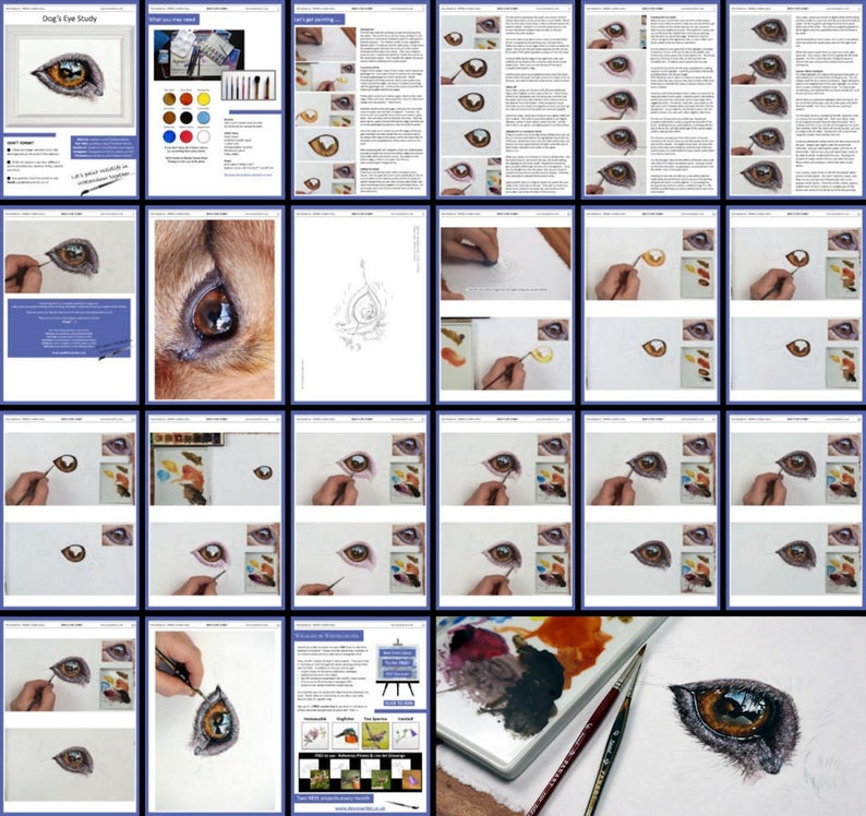 Overview collage of all the pages in the dog's eye painting lesson.  From the many photos that are included, you can see the progression of the painting as Paul works on it.  He has also included written guidance too.