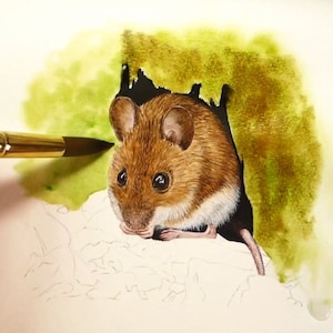 Paul is working on the background in this photo, and has started applying a wash of greens and browns behind the mouse.