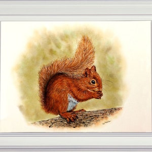 The finished red squirrel painting in a white frame.