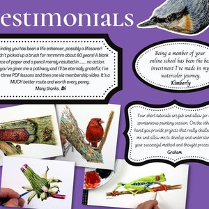 An image made up of testimonials, and paintings.  These include a Nuthatch bird, an old wooden gate, a Red Cardinal, a Dandelion flower, and a Red Eyed Tree Frog.  There are three testimonials in different shaped frames.