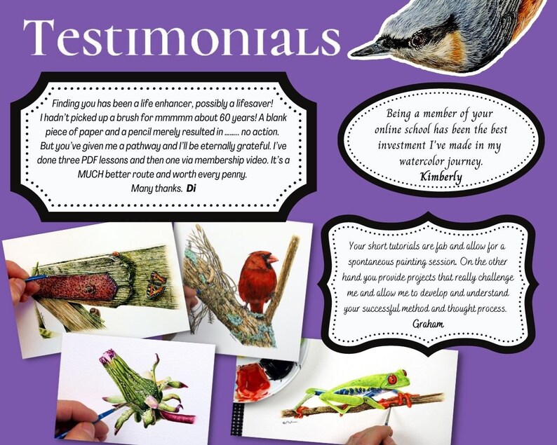 An image made up of testimonials, and paintings.  These include a Nuthatch bird, an old wooden gate, a Red Cardinal, a Dandelion flower, and a Red Eyed Tree Frog.  There are three testimonials in different shaped frames.