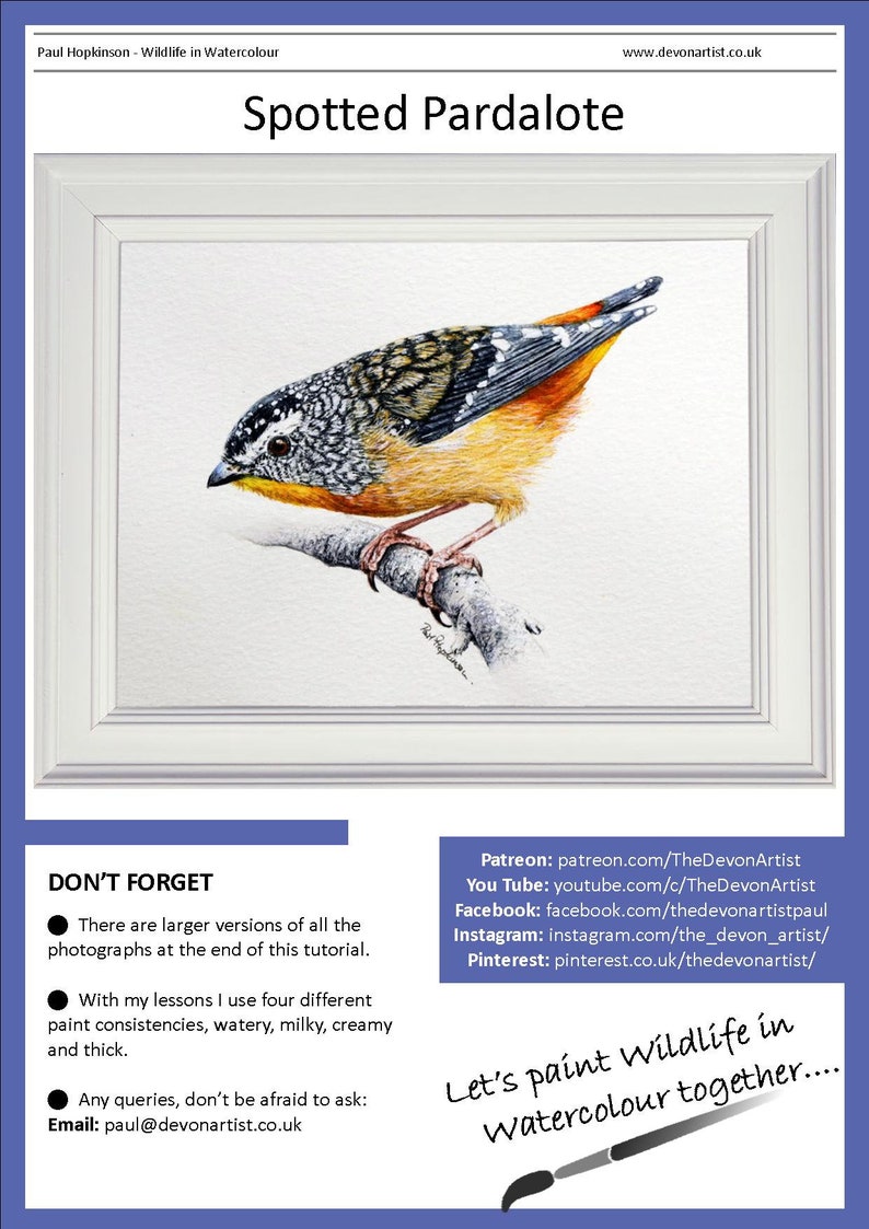 The first page of the lesson, which shows the completed spotted pardalote painting in a white frame.  Below are a list of other art websites where Paul shows his work and sells his lessons.