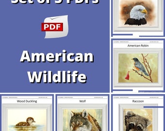 5 PDF Watercolor Tutorials on Painting Realistic American Wildlife, Animal Watercolour Lessons, Illustration Bird Art Course, Fine Art Work