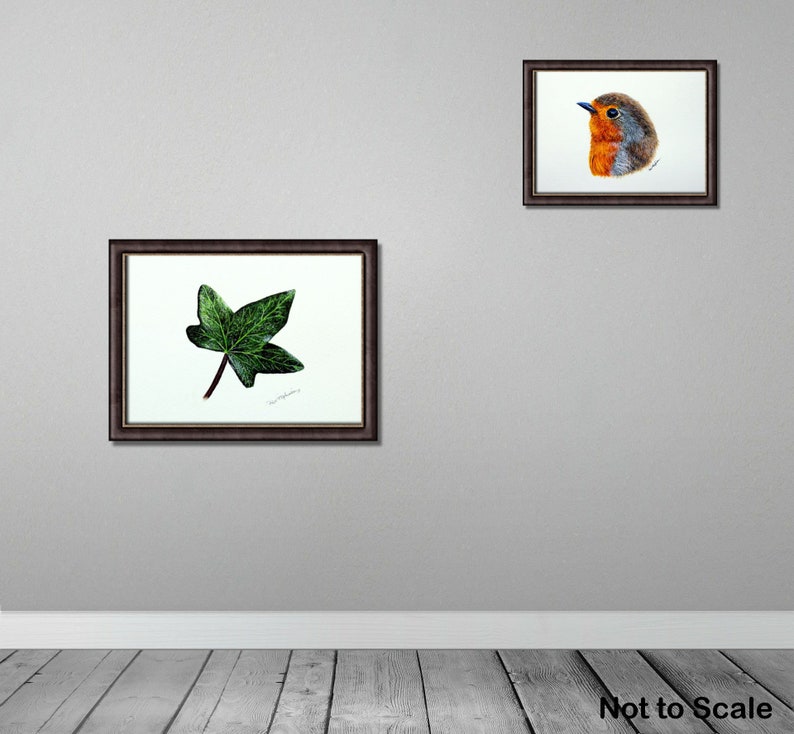 ORIGINAL Botanical Watercolor Leaf Illustration, Realistic Fine Art Ivy Leaf Watercolour Painting, Nature Wall Art, Paul Hopkinson Painting image 3