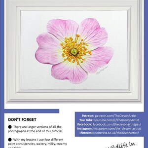 The first page of the lesson with the pink rose painting in a white frame.  Below are links to Paul's other online watercolor channels.