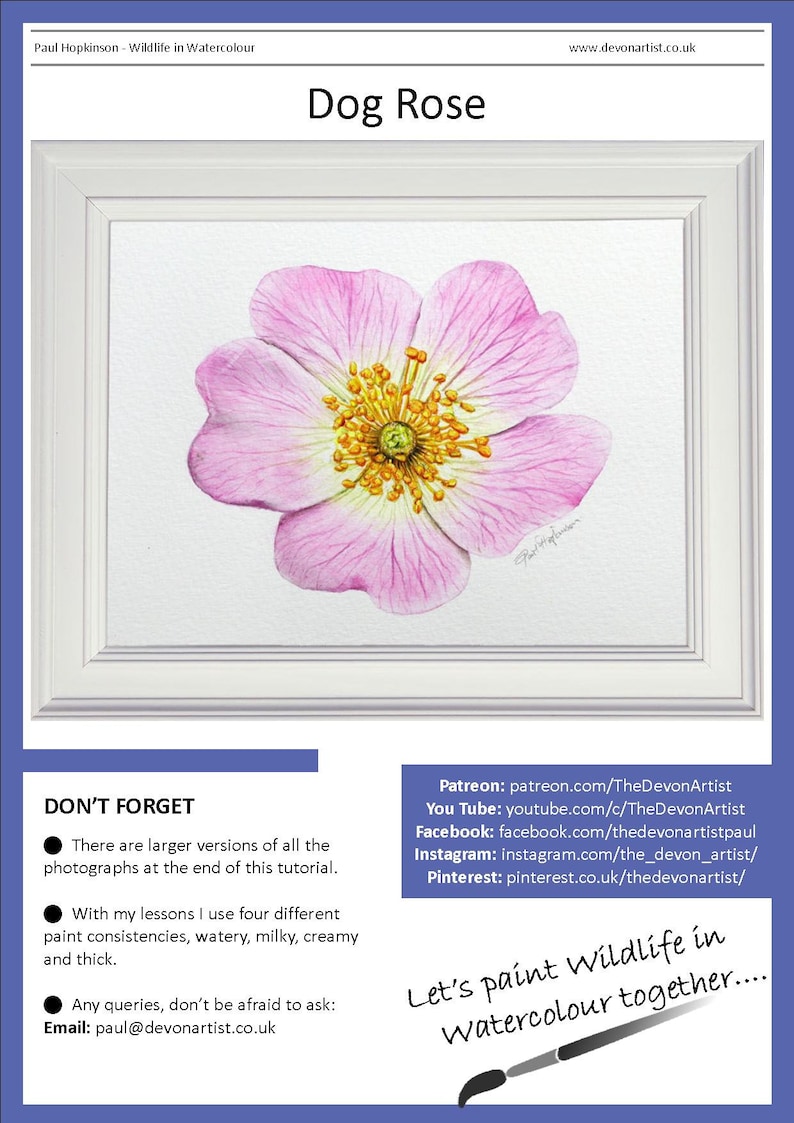 The first page of the lesson with the pink rose painting in a white frame.  Below are links to Paul's other online watercolor channels.