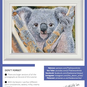 The first page of the lesson, this shows the finished Koala painting in a white frame.  The animal is holding on to a V in a tree, it is grey with round ears, a pink chin and pink hues on the arms and chest too.