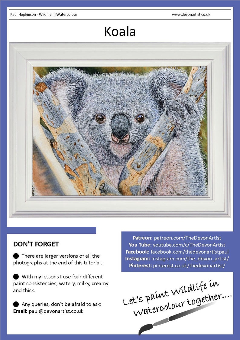 The first page of the lesson, this shows the finished Koala painting in a white frame.  The animal is holding on to a V in a tree, it is grey with round ears, a pink chin and pink hues on the arms and chest too.