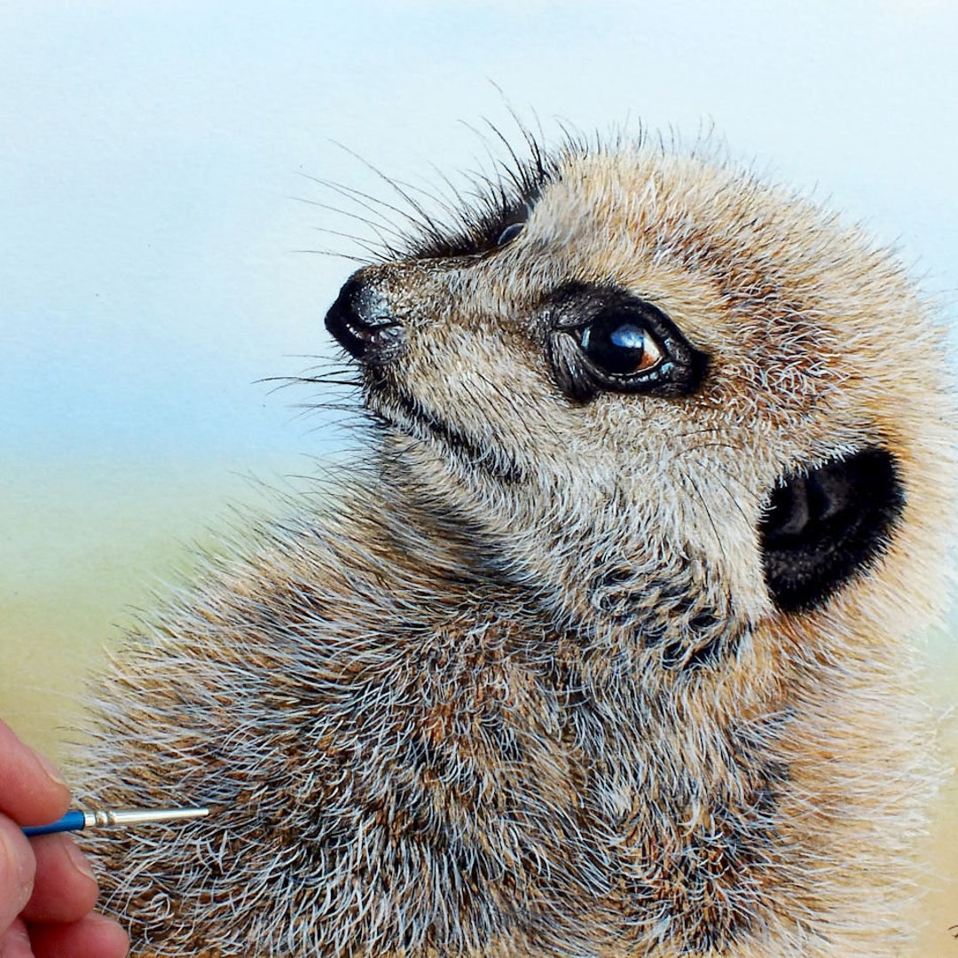 How to Paint Realistic Animal Fur, Meerkat Watercolor PDF Tutorial