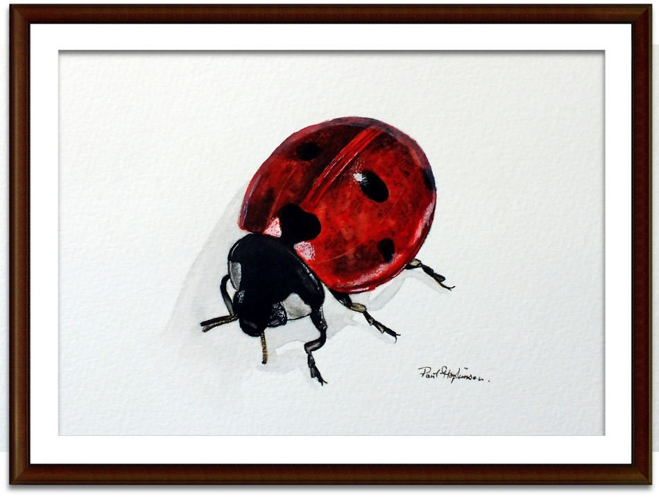 オリジナルてんとう虫の水彩画：美術昆虫イラスト - Etsy 日本