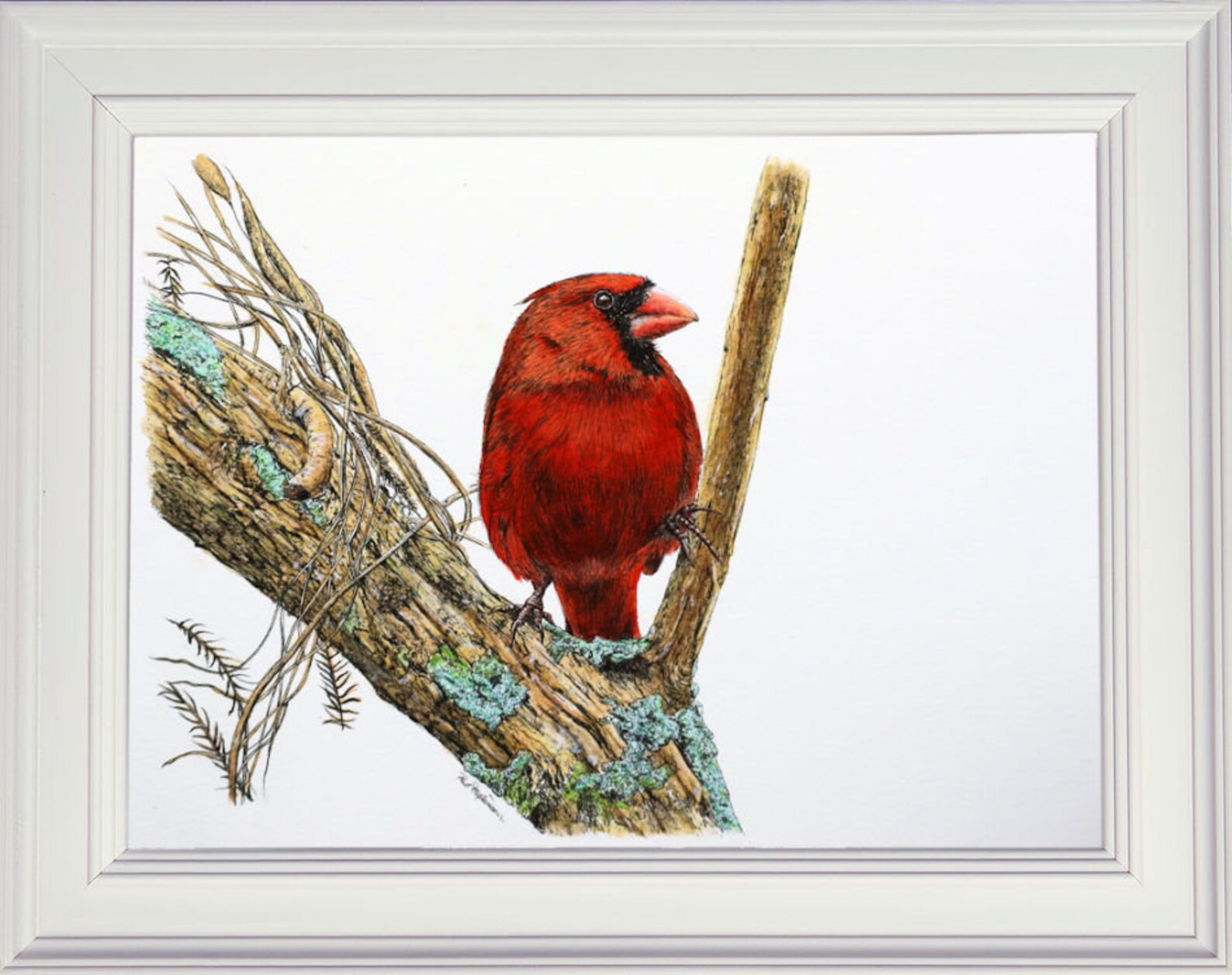 Pen and Wash Bird Painting Tutorial Watercolor Red Cardinal Etsy UK