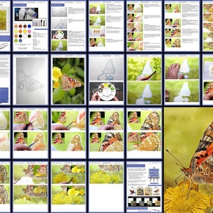May include: A step-by-step watercolor painting tutorial showing how to paint a Painted Lady butterfly on a yellow flower. The tutorial includes a close-up of the butterfly, the flower, and the artist's hand painting the details.