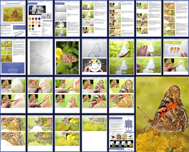 May include: A step-by-step watercolor painting tutorial showing how to paint a Painted Lady butterfly on a yellow flower. The tutorial includes a close-up of the butterfly, the flower, and the artist's hand painting the details.