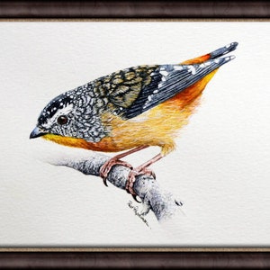 The finished watercolour bird shown in a dark brown frame.
