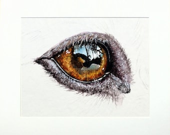 オリジナルの動物アートワーク、リアルな水彩画の犬の目の絵 - Etsy 日本