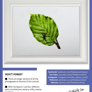 The summer leaf tutorial, this front page shows Paul's finished painting in a white frame.  The leaf is a rich green and it has a small black insect on its surface.
