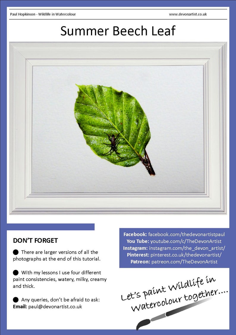 The summer leaf tutorial, this front page shows Paul's finished painting in a white frame.  The leaf is a rich green and it has a small black insect on its surface.