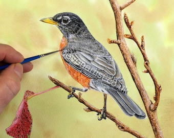 Tutorial de pintura de petirrojo con acuarela: Curso paso a paso (Descarga PDF)