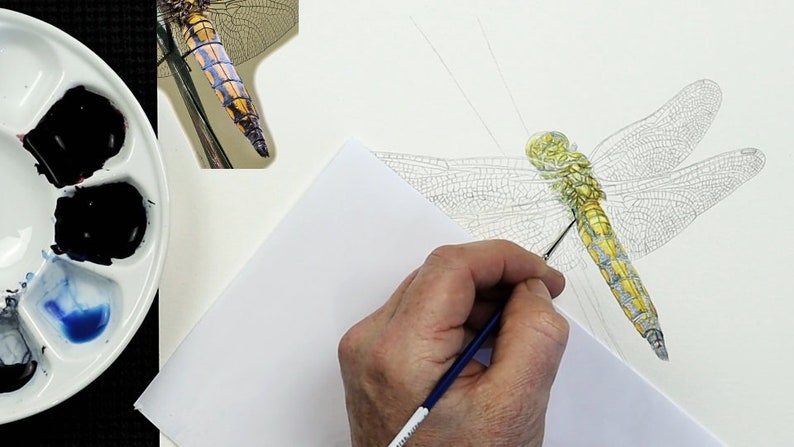 Paul continues to work on the painting.  He is focused on the body, which is mainly yellow, with some blue/ grey details either side.  He is working with a very tiny brush to paint tiny details.