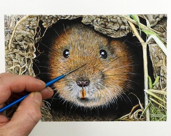 ORIGINAL Water Vole Watercolour Painting, Realistic Wildlife Illustration