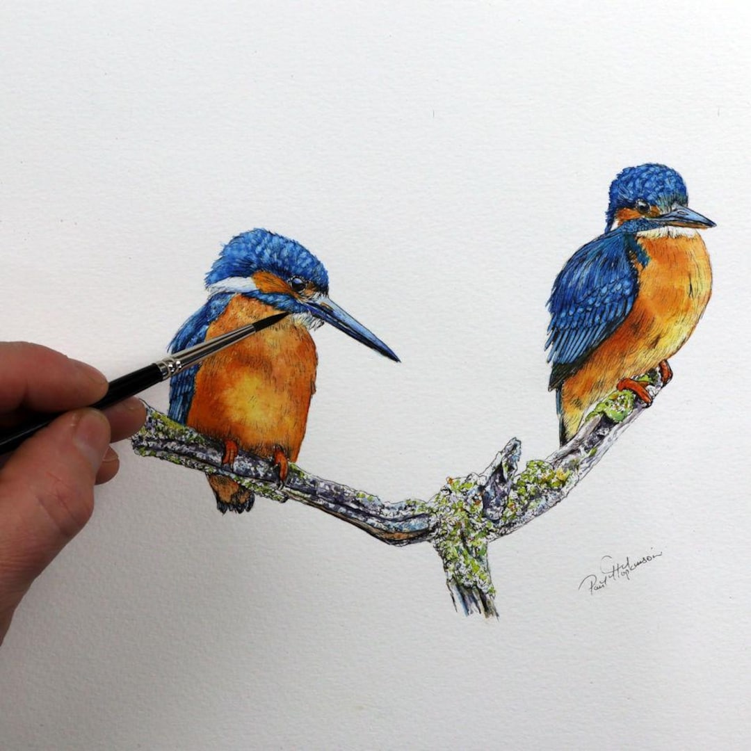 オリジナルのペン＆ウォッシュカワセミの絵画、インクの鳥の絵、リアル