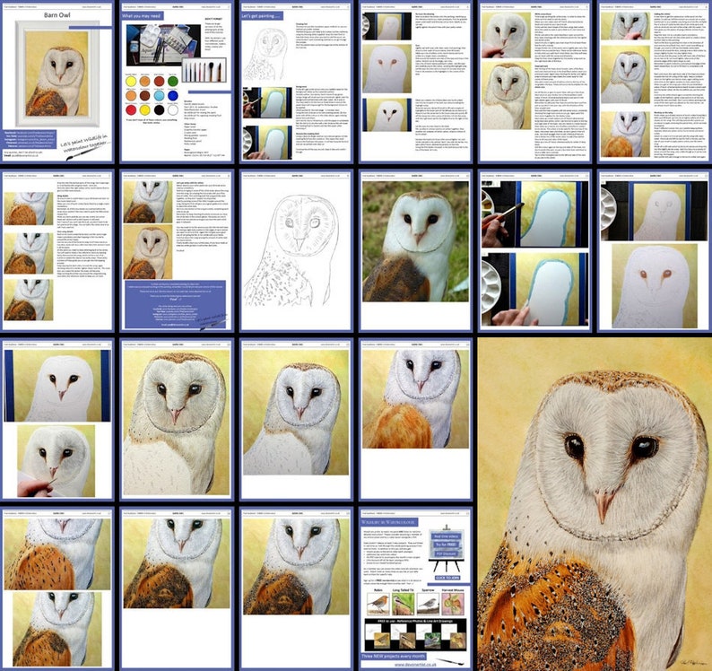 Step by Step Owl Painting Learn to Paint Watercolor Tutorial Etsy