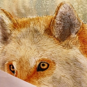 Further on in Paul's painting, as he adds the first layers of fur detail above the eyes of the animal.  There are already a lot of tonal differences building within the animal.