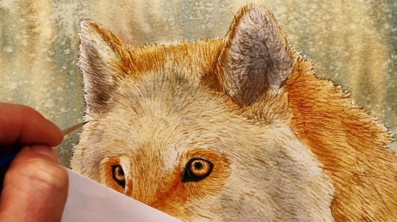 Further on in Paul's painting, as he adds the first layers of fur detail above the eyes of the animal.  There are already a lot of tonal differences building within the animal.