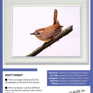 The wren painting in a white frame, above details and links to Paul's other online art channels.