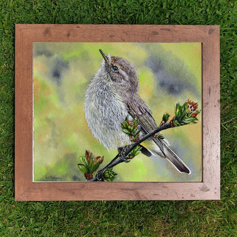 The chiffchaff painting in a wooden frame on a lawn.