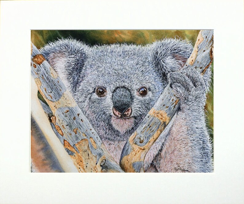 Original Watercolour Koala Painting, Realistic Fine Art Illustration, Watercolor Wildlife Artwork image 7