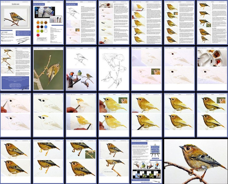 The goldcrest lesson overview, this shows all the pages with the bird progressively being painted in the photos that illustrate the whole lesson.  There's lots of written text too at the start of the tutorial.