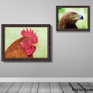The cockerel painting in a dark brown frame displayed on a grey wall with a painting of a golden eagle to the top right of it.