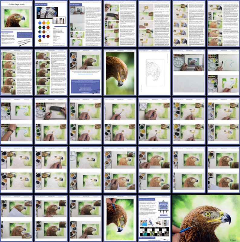 An overview image of all the pages in the lesson.  These include blocks of written text, alongside photos of Paul's own painting as it progresses through the various stages.