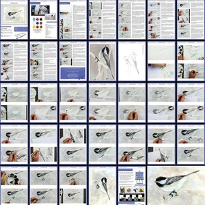 All the pages in this online painting lesson.  These are laid out in order, with written instruction alongside photos of Paul's painting as he works on it.  These photos are then enlarged so you can see all the details.