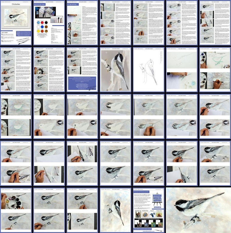 All the pages in this online painting lesson.  These are laid out in order, with written instruction alongside photos of Paul's painting as he works on it.  These photos are then enlarged so you can see all the details.