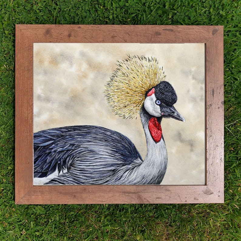 The original bird painting in a wooden frame which is lying on a lawn.