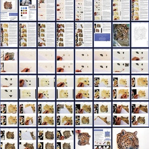 All the pages in the leopard lesson laid out as a collage.  There are well over 40 pages, showing Paul's painting gradually progressing from start to finish in small steps.  There are also a number of pages with text alongside photos too.
