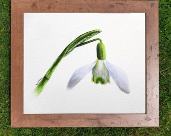 キャンバス油絵 専用春を告げる花スノードロップ