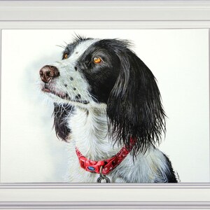 The black and white spaniel painting in a white frame. The dog is looking to the left and is wearing a dark pink/ red collar.  The portrait is very detailed and lifelike.  The dog has amber eyes, which look shiny and real.