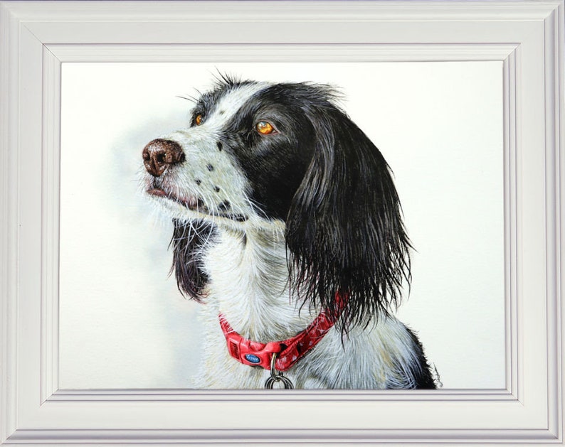The black and white spaniel painting in a white frame. The dog is looking to the left and is wearing a dark pink/ red collar.  The portrait is very detailed and lifelike.  The dog has amber eyes, which look shiny and real.