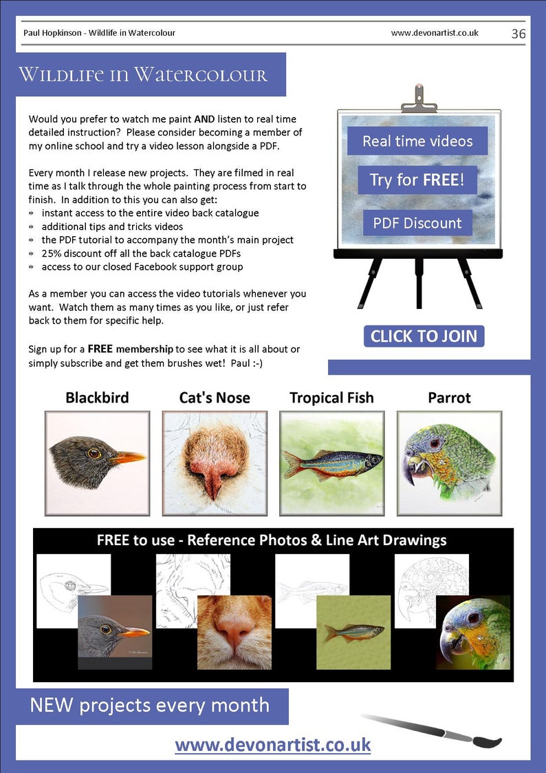 The last page of the lesson, which illustrates 4 more PDFs that can be bought.  A blackbird, a cat's nose, a fish and a parrot.  There are also details about online watercolour videos that can also be bought and accessed.
