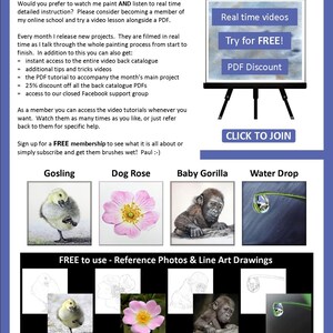 The last page of the lesson which has pictures of 4 more PDFs, a gosling, a pink rose, a gorilla infant and a water droplet.  Above are details about the online watercolour video tutorials that are also available.