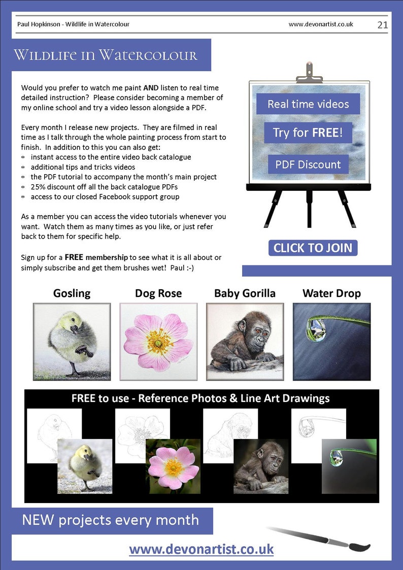 The last page of the lesson which has pictures of 4 more PDFs, a gosling, a pink rose, a gorilla infant and a water droplet.  Above are details about the online watercolour video tutorials that are also available.